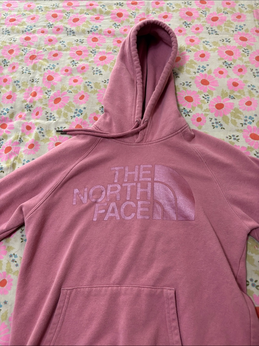 The North Face Dusty Rose Logo Hoodie